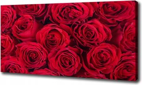 Vászonkép modern Rózsa 120x60 cm