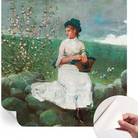 Dekoratív Öntapadós Tapéta Divatos Minták Virágos nyugalom 250x250 cm