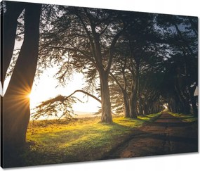 Vászonkép 80x60 Tájkép Látvány