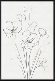 Poszter Keret Alumínium Grafika Line Art Rajz Vázlat Pipacs Virágok 40x60