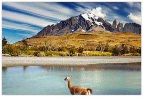 Kép - Torres del Paine Nemzeti Park (90x60 cm)