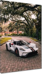 Vászonkép 80x120 Ford autó