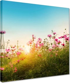 Vászonkép 30x30 Kozmikus virágok