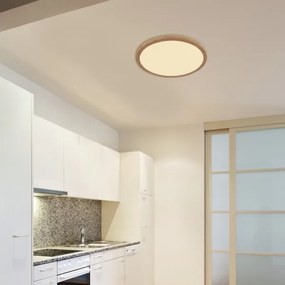 Globo 41562-24WW - LED Dimmelhető fürdőszobai lámpa SAPANA LED/24W/230V IP44