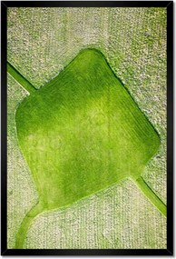 Poszterek keretben 40x60 Fű mező rét út