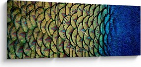 Kép - Pávatollak (órával) (90x30 cm)
