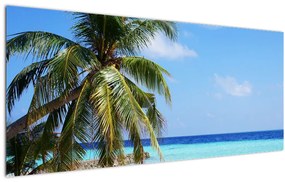 Pálmafák a strandon képe (120x50 cm)
