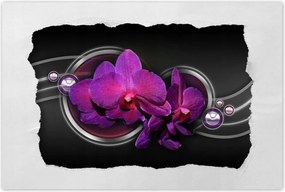 Poszterek 90x60 Lila orchidea