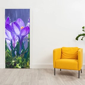 Fotótapéta ajtóra - Virágok az esőben (95x205cm)