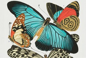 Divatos Flizelin Tapéta Ragasztóval Falra 3D Színes pillangók 104x70 Ragasztó