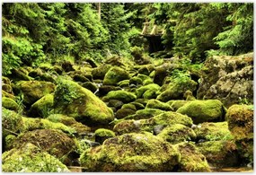 Poszterek 155x105 Tátra Lengyel hegyek Kilátás