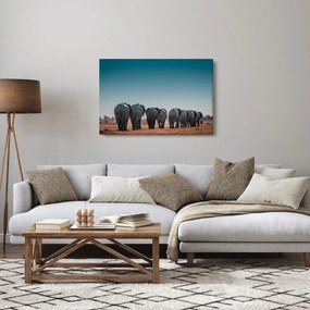 Kép - Elefántok indulása (90x60 cm)