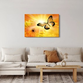 Kép - Sárga pillangó virággal (90x60 cm)
