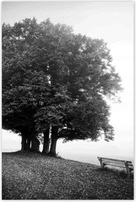 Poszterek 80x120 Tájkép szürke Bw