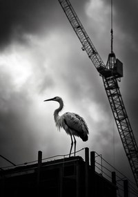 Poszter 70x100cm Magasan a horizont felett