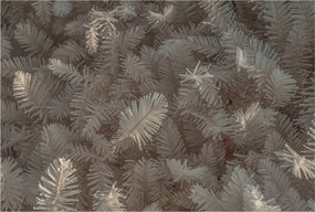 Divatos Flizelin Tapéta Fali Furnér Csiszolt gallyak 104x70 Ragasztó