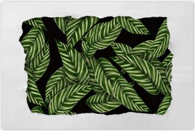 Poszter 60x40 Zöld levelek Trópusok