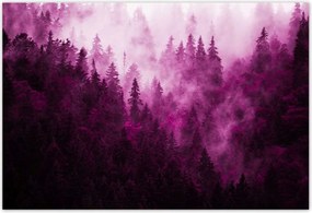 Poszterek 155x105 Tájkép Rózsa Hegyek Köd