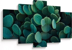 Kép - Opuntia (150x105 cm)