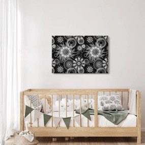 Kép - Fekete és fehér gyűszűvirág (90x60 cm)