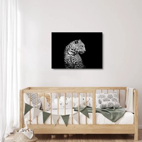 Üveg kép - Leopárd (70x50 cm)