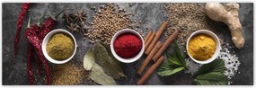 Poszterek 200x66 Fűszer triptichon Hot
