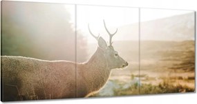 Vászonkép 180x90 Szarvas felszarvazott