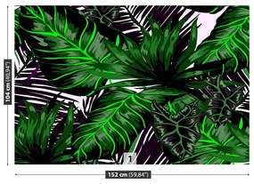 Fotótapéta Monstera levelek 104x70 cm