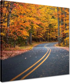 Vászonkép 40x40 Tájkép Látvány