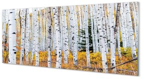 Üvegképek őszi nyírfa 125x50 cm