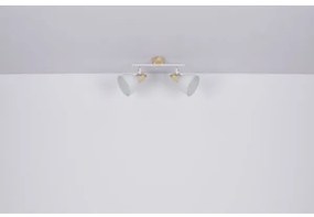 Globo 54018-2 - Spotlámpa WIHO 2xE27/40W/230V