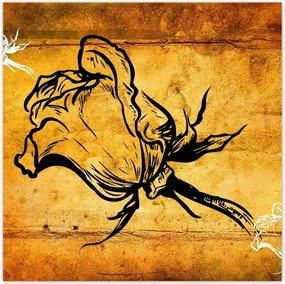 Poszterek 100x100 Rózsa