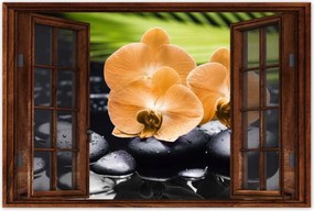 Poszterek 60x40 Narancssárga orchideák