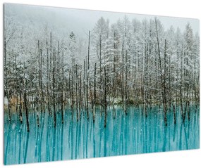 Kép - Türkiz tó, Biei, Japán (90x60 cm)