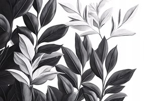 Botanikus minimalizmus fotótapéta Fekete-fehér modern 250x175 +ragasztó