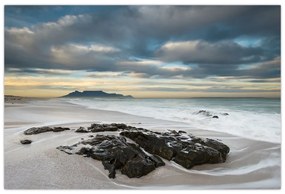 Kép - Robben Island (90x60 cm)