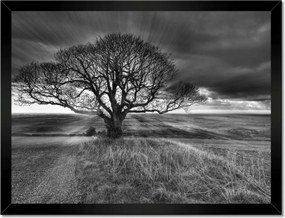 Poszterek keretben 40x30 Gyönyörű naplemente