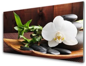 Akrilkép Bamboo Zen White Orchid 120x60 cm 4 fogas