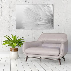 Kép - Pitypang (90x60 cm)