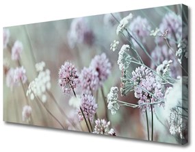 Vászonkép Virág Vadvirágok Mező Természet 140x70 cm