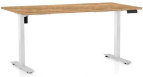OfficeTech B állítható magasságú asztal, 160 x 80 cm, fehér alap, arany tölgy