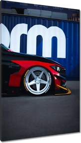 Vászonkép 80x120 Sportos csőr Autó