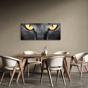 Kép - Közeli portré egy macskáról (120x50 cm)
