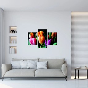 Tulipánok képe fekete alapon (90x60 cm)