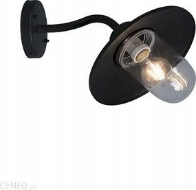 Fém fekete Klasszikus fali lámpa üvegbúrával és Led izzóval