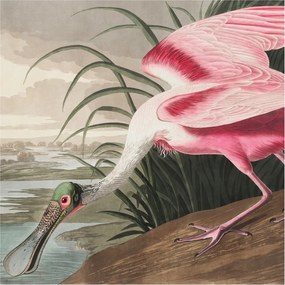 Flizelin tapéta Divatos 3D fali ragasztó Egzotikus madár 250x250 Ragasztó