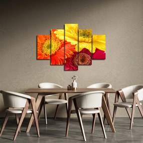 Kép - Virágok Gerbery (150x105 cm)
