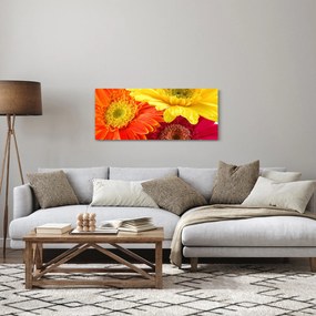 Kép - Virágok Gerbery (120x50 cm)