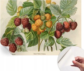 Öntapadós tapéta Divatos 3D fali ragasztóval Klasszikus málna 152x104 cm