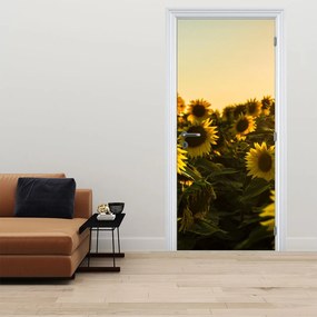 Fotótapéta ajtóra - Napraforgó mező (95x205cm)